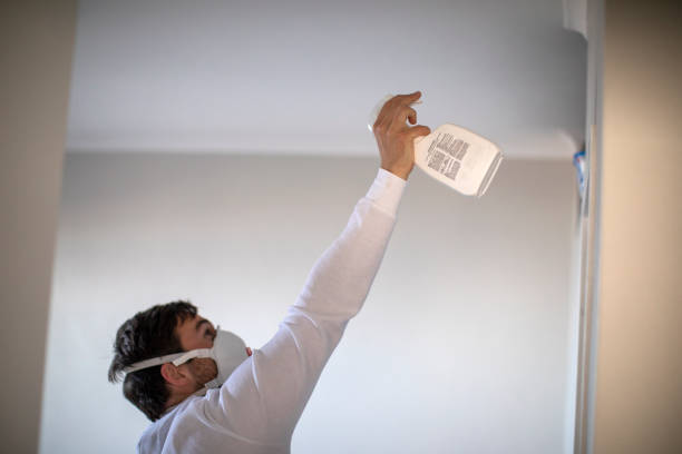 Professional Mold Removal in Dovesville, SC