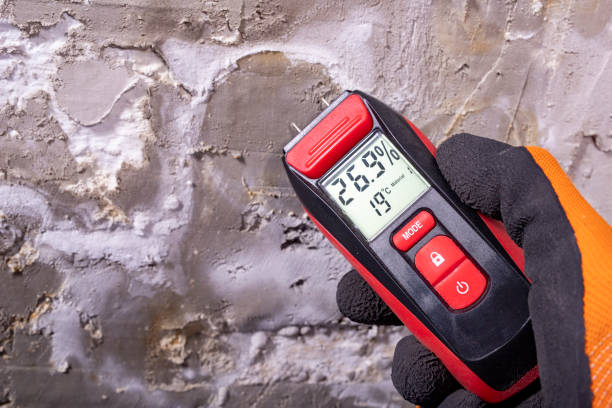 Best Toxic Mold Removal  in Dovesville, SC