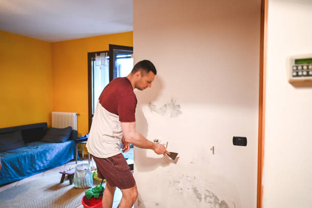 Best Residential Mold Removal  in Dovesville, SC